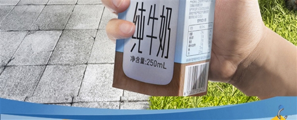 3.3g 天然乳蛋白 ，认养一头牛全脂纯奶 250ml*12 盒装 * 2 箱 79.9 元