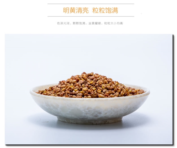 龙问号 云南特产 黄苦荞茶 全胚芽500g